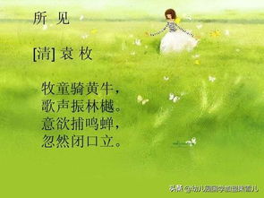 《童趣詩集》· 所見